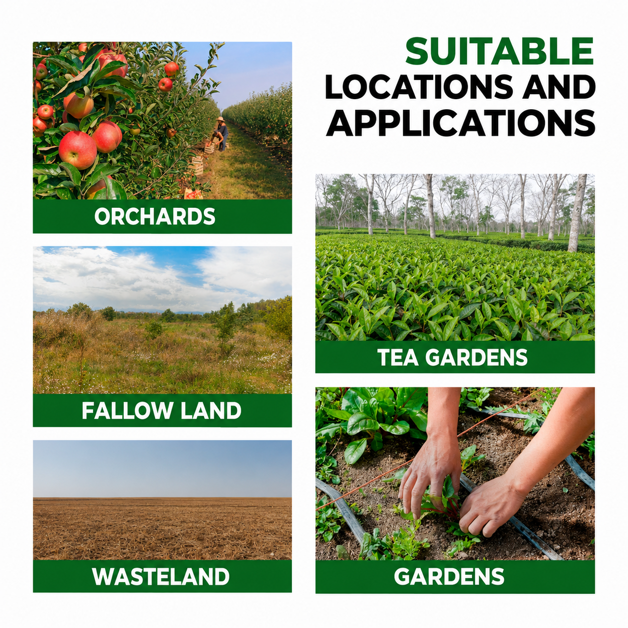 Glyphosate Herbicide High-Concentrate – Weed Killer for Agricultural & Land Maintenance