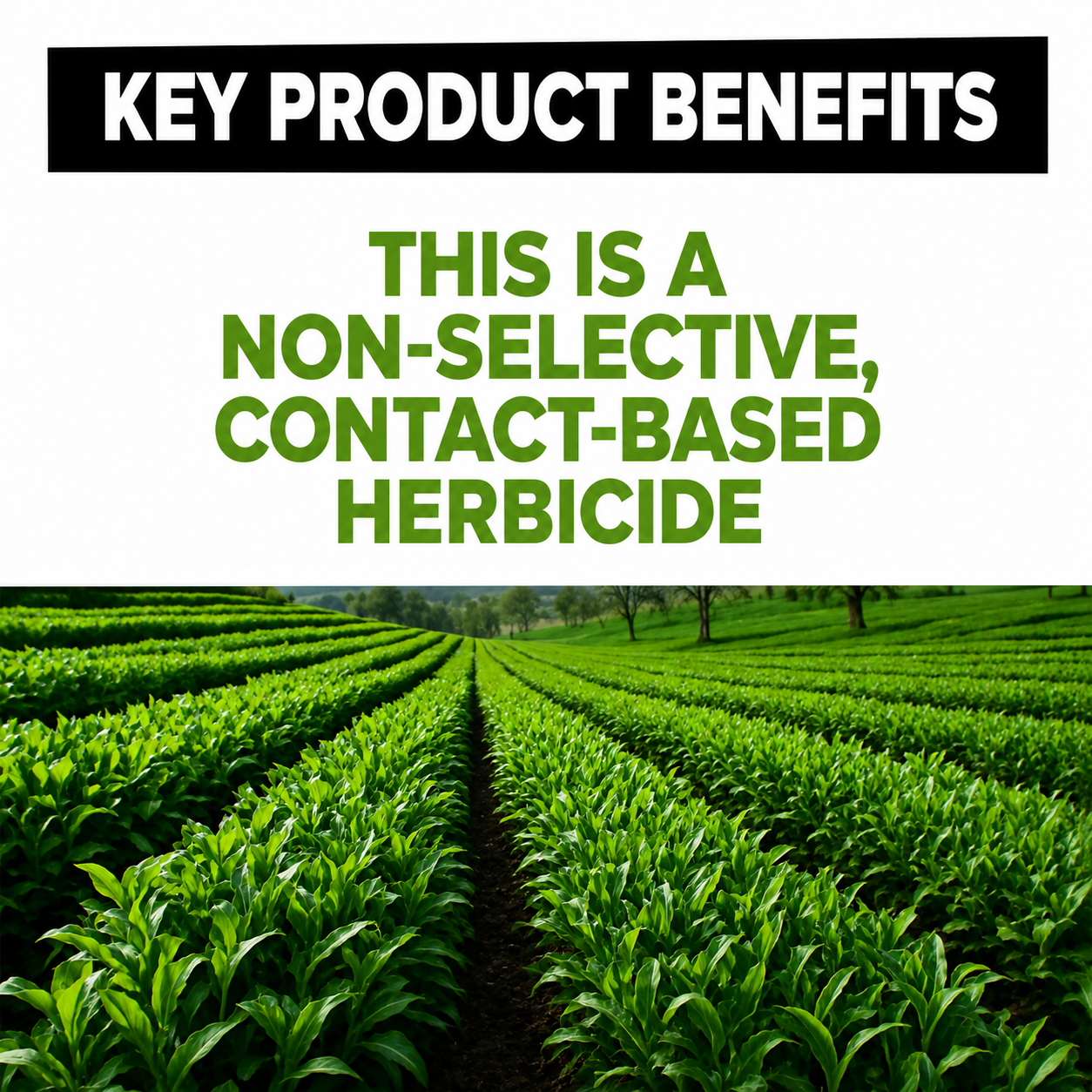 Glyphosate Herbicide Concentrate for Effective Weed Control  Systemic Weed Killer for Agriculture, Garden & Land Care (Yellow)