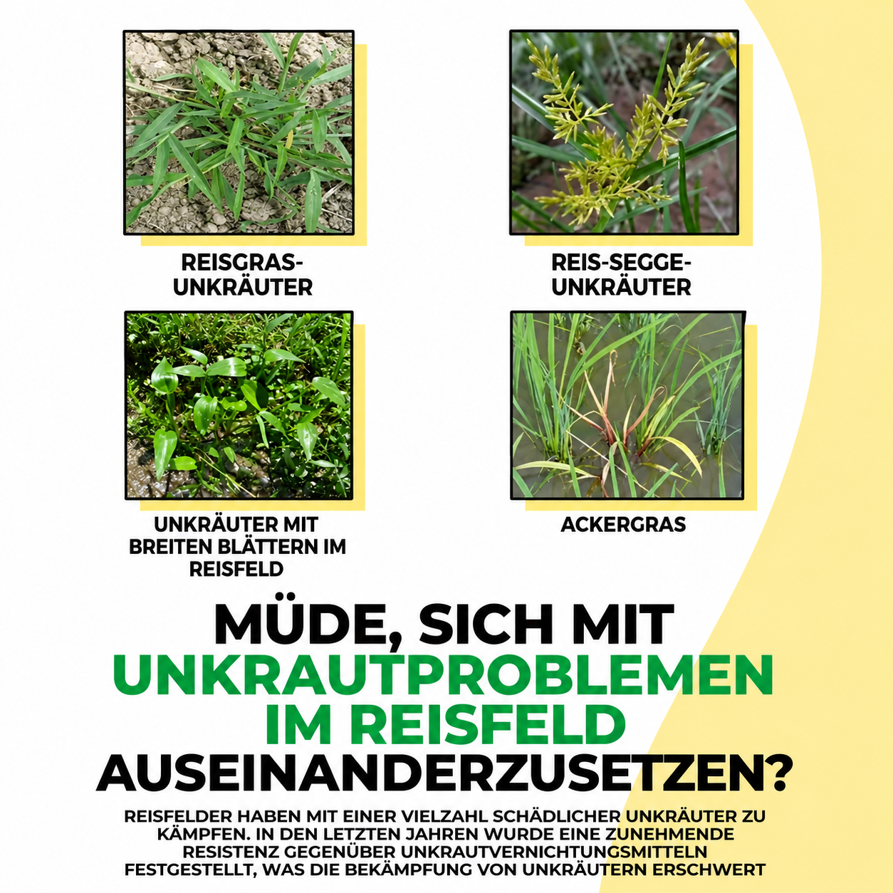 Glyphosate Herbicide Concentrate for Effective Weed Control  Systemic Weed Killer for Agriculture, Garden & Land Care (Yellow)