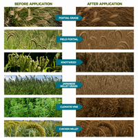 Glyphosate 41% Concentrate – Herbicide for Vegetation Control & Land Maintenance