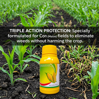 Nicosulfuron 20% + Atrazine 6% + Mesotrione 4% SC Herbicide, Selective Corn Field Weed Control