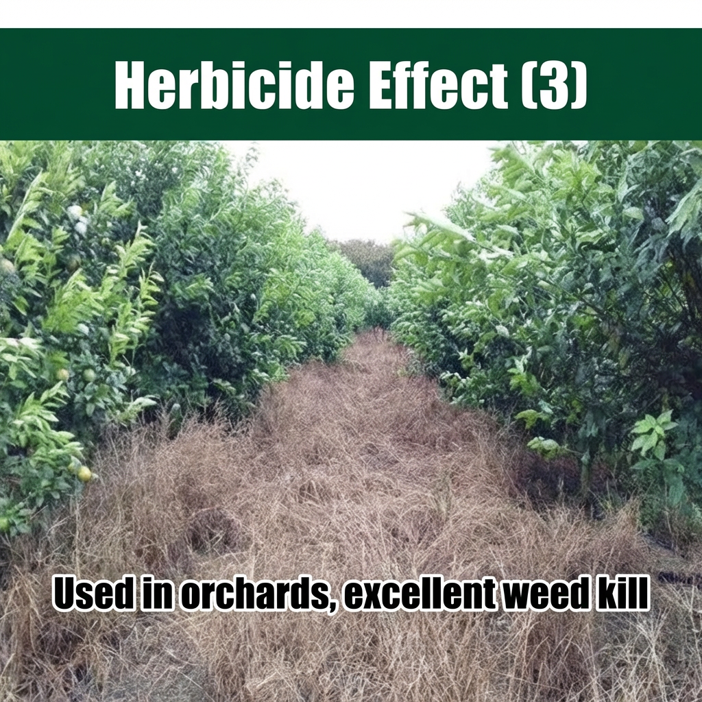10% Glufosinate Ammonium Herbicide, Powerful Weed Killer for Resistant Cow Grass