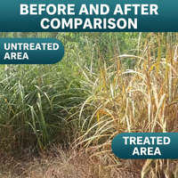 Glufosinate Ammonium 10% SL Herbicide, Non-Selective Weed Killer for Grass & Broadleaf Weeds