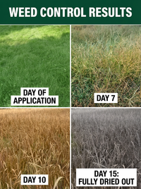 Fast-Acting Glufosinate 10% SL Herbicide, Quick Burn-Down Weed Killer for Tough Grass & Broadleaf Weeds