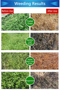 Fast-Acting Glufosinate 10% SL Herbicide, Quick Burn-Down Weed Killer for Tough Grass & Broadleaf Weeds