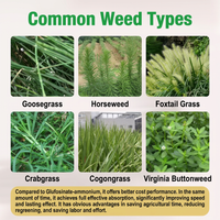 Fast-Acting Glufosinate 10% SL Herbicide, Quick Burn-Down Weed Killer for Tough Grass & Broadleaf Weeds