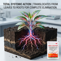 Glyphosate 60% Herbicide for Non-Arable Weed Control | Systemic Weed & Woody Plant Management