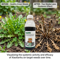 Glyphosate 10% Herbicide for Orchard Weeding & Wasteland Control | Systemic Weed Management Solution
