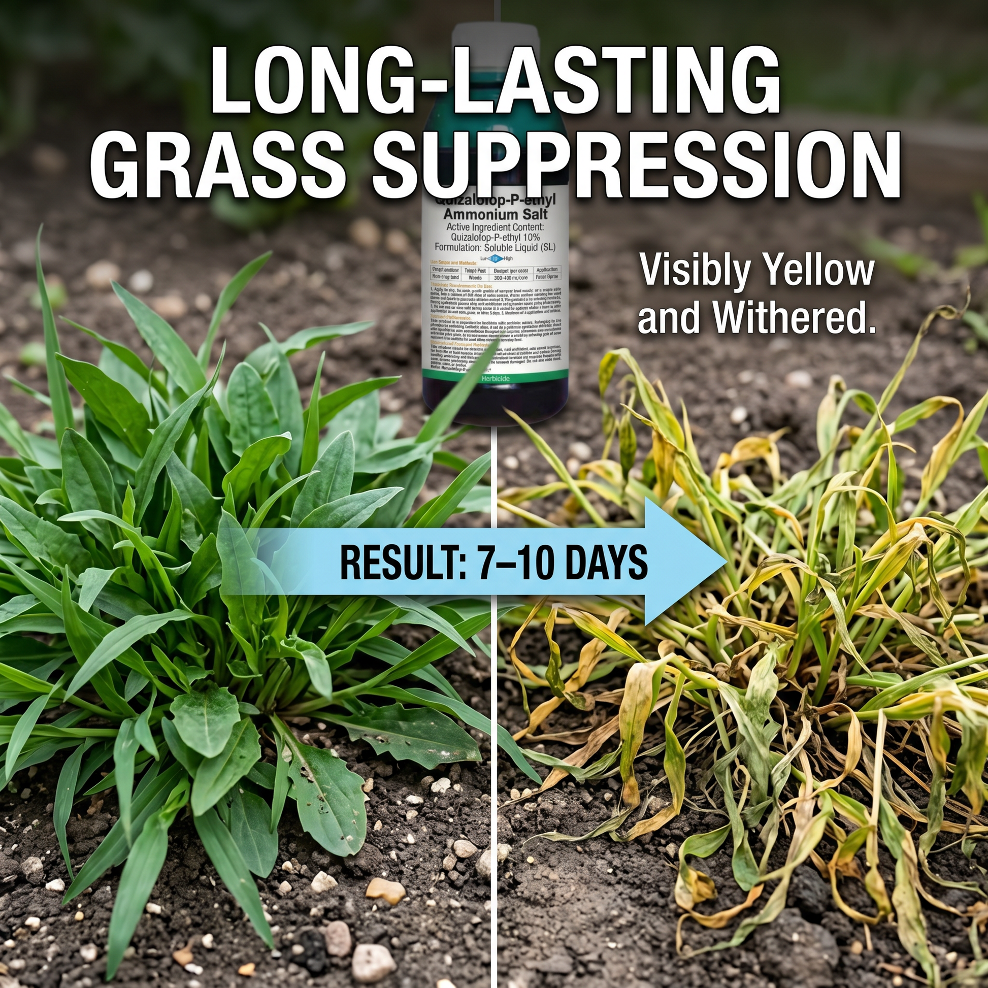 Glyphosate Ammonium Herbicide for Orchard Weed & Root Control, Systemic Weed Management Solution