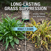 Glyphosate Ammonium Herbicide for Orchard Weed & Root Control, Systemic Weed Management Solution