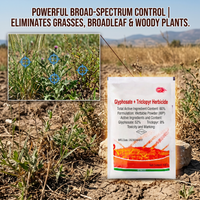 Glyphosate 60% Herbicide for Non-Arable Weed Control | Systemic Weed & Woody Plant Management