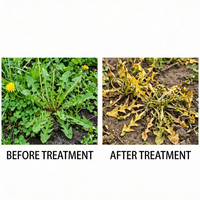 MCPA Sodium 5% + Glyphosate Ammonium 75% SG Herbicide for Systemic Weed Control in Agricultural Fields