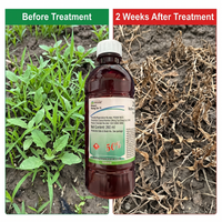 Glyphosate 50% Herbicide for Pre-Germination Weed Control | Systemic Weed Management for Field Crops