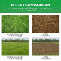 Glyphosate-based herbicide (41% concentrate) – For professional vegetation control