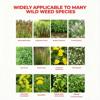 Glyphosate-based herbicide (41% concentrate) – For professional vegetation control